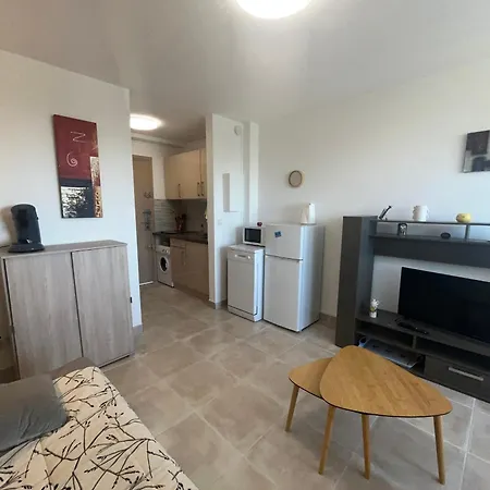 Apartman Confortable Proche Plage, Animaux Admis - Fr-1-338-637 *